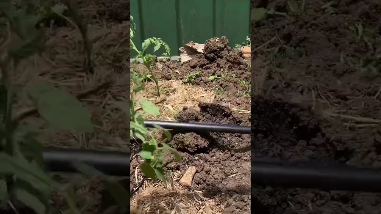 Simple irrigation system 