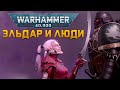 Полуэльдар? Возможна ли такая ЕРЕСЬ? | Warhammer 40k