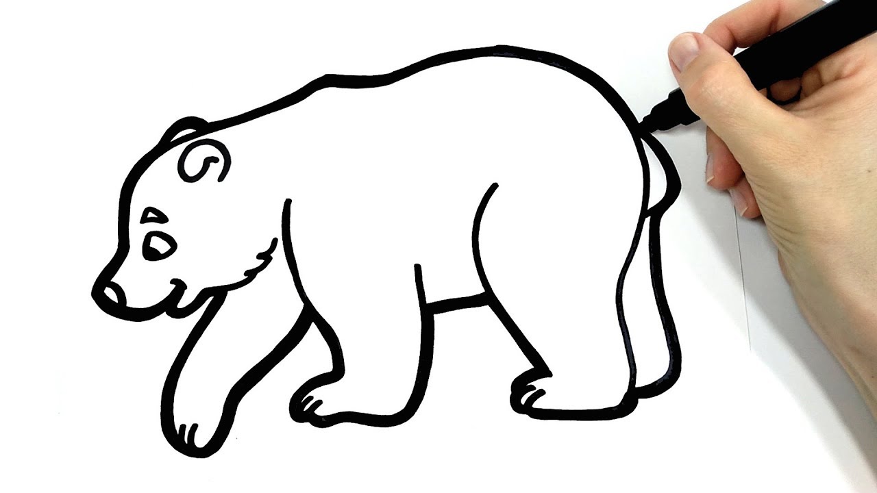 Dibujos de los osos polares