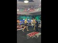 No visit is complete without experiencing the adrenaline of a Muay Thai fight