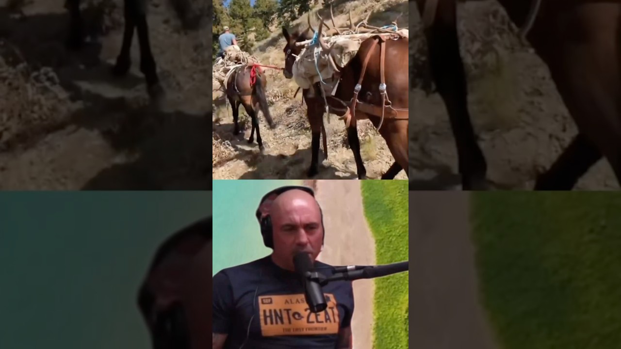 Потрясающий взгляд Джо Рогана на конную охоту!