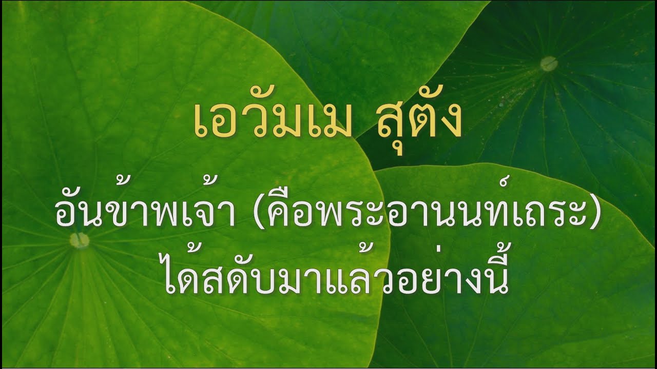 บทสวดมนต์ ธัมมจักรกัปปวัตตนสูตร แปลไทย (ตัวหนังสือใหญ่ อ่านชัด 4K ULTRA HD)