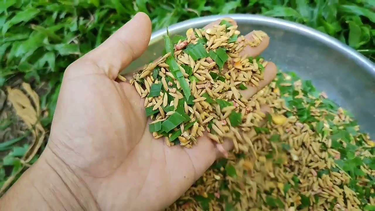 Làm sao để gà luôn bóng mượt hạn chế khô lông 🥰👍