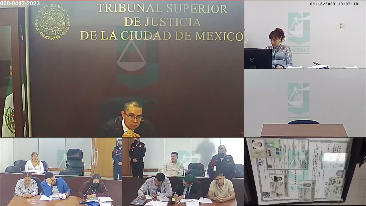 Libertad en Audiencia de sobreseimiento