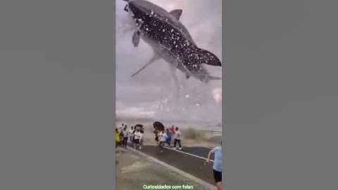 ATAQUE DE MEGALODON 😱 #shark #megalodon #tubarao #viral #videos #animals #animal #travel #brasil
