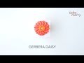 How to pipe a buttercream flower gerbera daisy