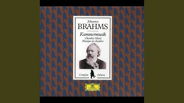 Brahms: String Quartet No. 1 in C minor, Op. 51 No. 1: 1. Allegro
