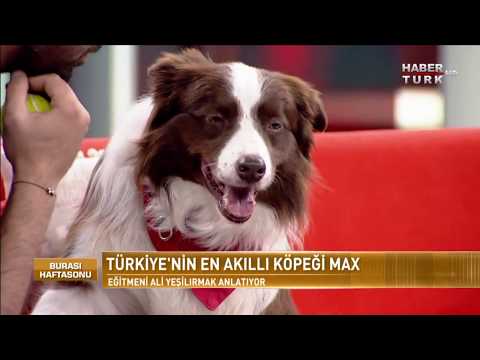 Burası Haftasonu - 14 Ekim 2017 (Türkiye'nin En Akıllı Köpeği Max)