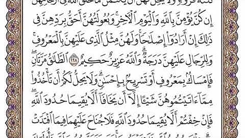 سورة البقرة الشيخ ياسر الدوسري صفحة ٣٦