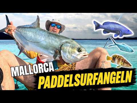 Alone on a SUP off Mallorca – then the drag SCREAMS