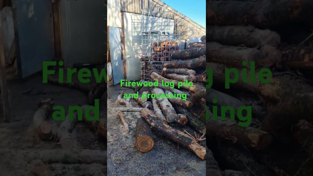 Firewood log pile. Took delivery of logs now have to process it all. 