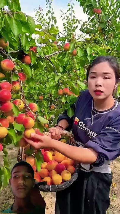#fruit #farming101