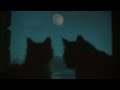 Someday I Ll Get It Alek Olsen Lyrics 1 Hour Someday I Ll Get It Alek Olsen Lyrics 1 Hour