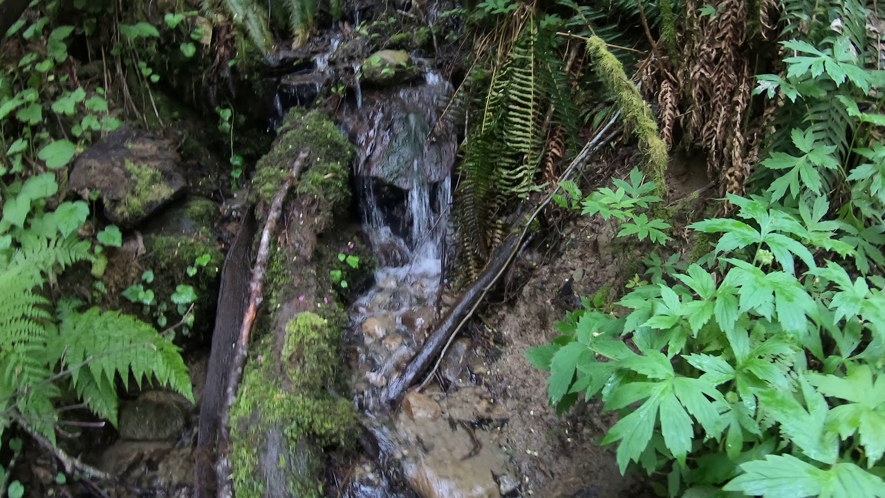 TrinaMason ASMR sound healing water bellingham washington Wednesday