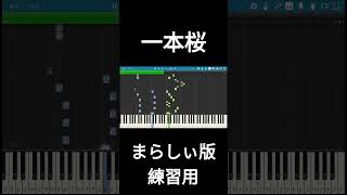 【練習用】まらしぃ版「一本桜」【フルは概要欄から】｜Ray【ピアノ楽譜&耳コピ】