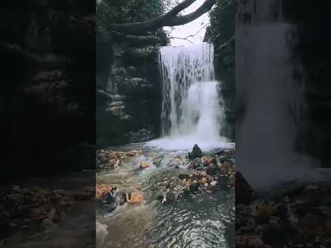 طقس سوريا مغارة السواح بمنطقة صافيتا بريف طرطوس 2024 02 15    سوريا