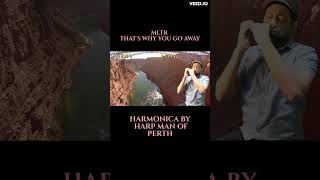 Thats Why you Go Away  Mltr Harmonica  michaellearnstorock  shortsfeed shorts ytshorts