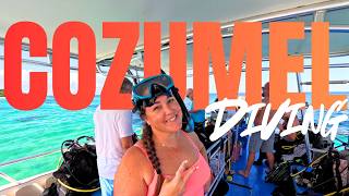 We Went Scuba Diving In Cozumel And Didnt Expect This