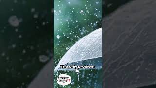 Not everyone knows this about rainy days after 3am!! 🤯☔️#curiousthings #didyouknow #rain  #rainyday