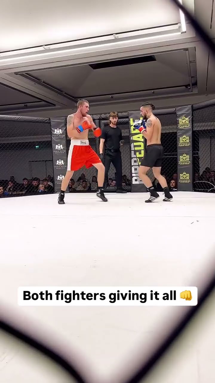 Explosive Fights, Epic Finishes, Wild Fight Promotion never disappoints