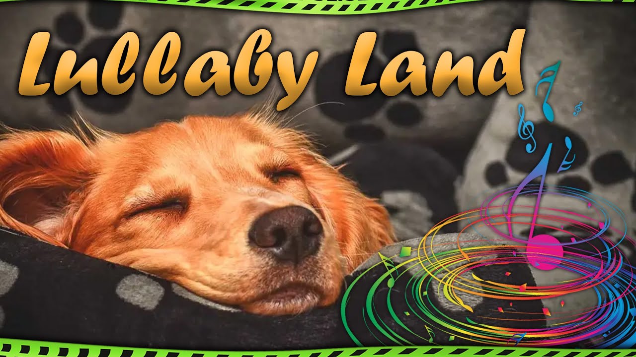 💤 1 Hour Super Relaxing Baby Music Sleep Music for Babies ♫ Brahms