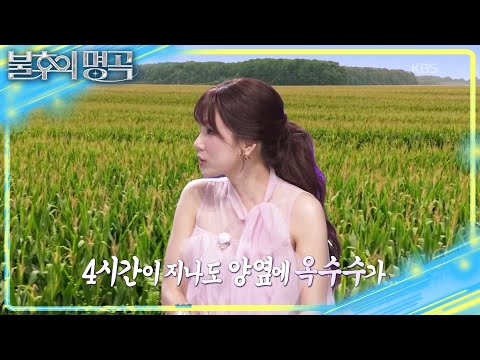 10년 넘게 중국 활동을 했던 채연👀 댄스가수 채연에게 춤추지 말라한 이유?💥 [불후의 명곡2 전설을 노래하다/Immortal Songs 2] | KBS 260808 방송