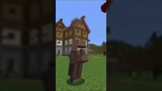 omg #viral #viral #minecraft #subscribe #support #shorts #carrydepie #omgggg