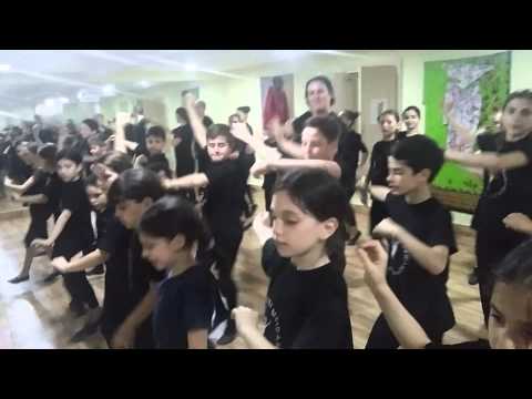 ლუკა ბეჟაშვილი საჩვენებელი გაკვეთილი 14