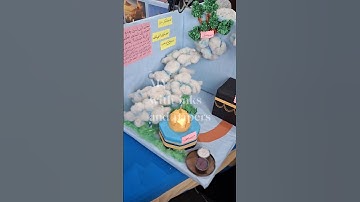 project on miracles of prophets #islamic exibition#projects#craft#subscribe@MYwithinksandpapers