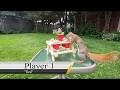 Backyard Battle