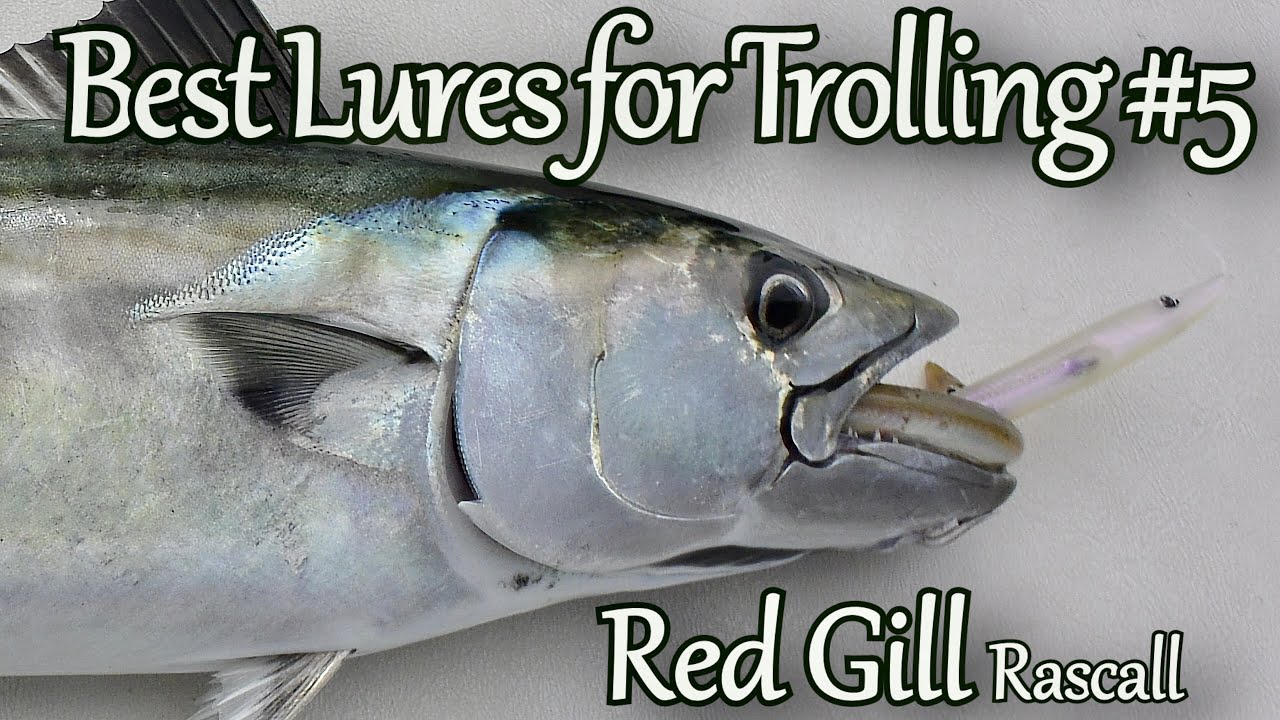 Best Lures for Trolling 5# - Red Gill 11,5 CM /4,5 - Lure Review