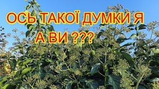 Цікаво, а яка думка у Вас. Поділіться, гадаю від цього буде користь багатьом 💯🤝👨‍👩‍👧‍👦