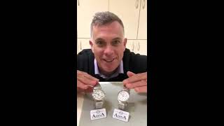 Adina Countrymaster work watches, which is right for you? Details