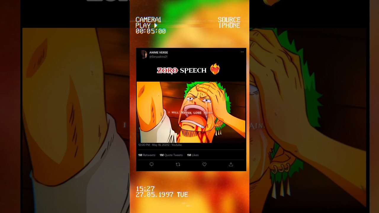 Nothing Happened. Zoro’s Silence Shook the World 