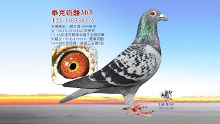 【永春-謝文清】T23-1103303