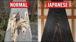 The Japanese Method to Make Wood Bug-Proof and Rot-Resistant (No Toxic Treatment)