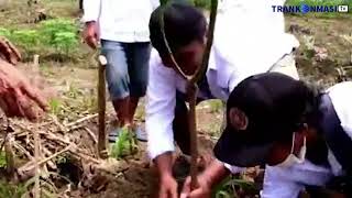 KERJA SAMA TANAMAN AVOCADO ANTARA PERHUTANI, PT.TRI MULIA SENTOSA DAN LMDH