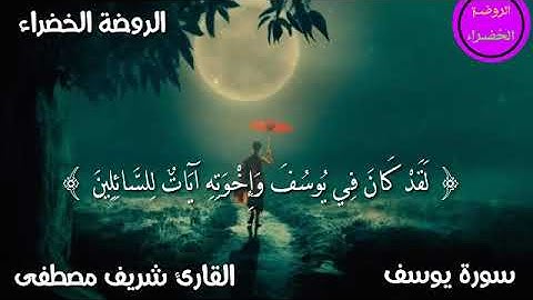 ما تيسر من سورة يوسف بصوت القارئ شريف مصطفى