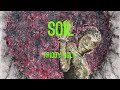 Priddy Ugly - Soil (Lyrics)