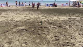 Sanyo Bussan International Lifesaving Cup 2016 Beach Flags DAY1
