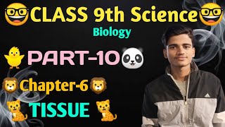 🐥Class 9th Science 🐥 Biology 🐥chapter-6 🐥(Part -10)Tissue 🌱🐥