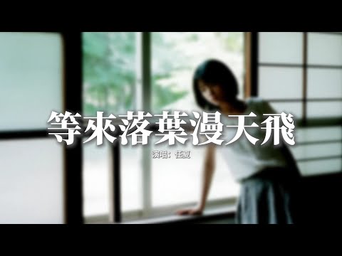 任夏 - 等來落葉漫天飛『又到一個思念的季節，可惜我們回不到從前，原來轉身以後就會是永遠，錯過的人再也不見。』【動態歌詞MV】