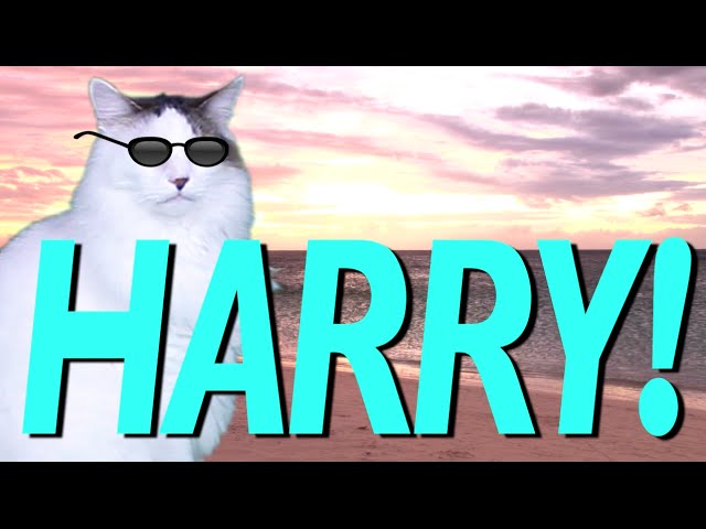 HAPPY BIRTHDAY HARRY! - EPIC CAT Happy Birthday Song