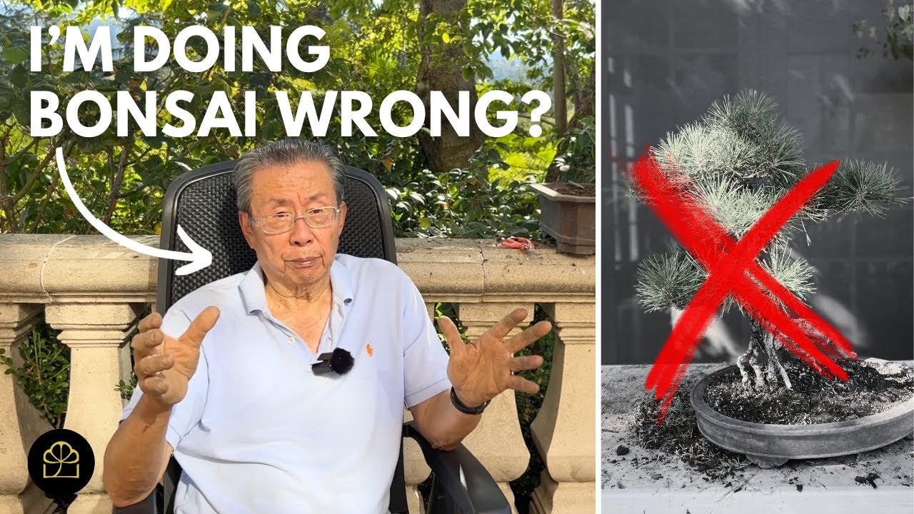 I Don't Follow Traditional Bonsai Rules