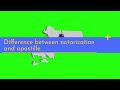 Massachusetts Apostille Services: Quick and Reliable Transcript, Diploma Apostille, Online Support