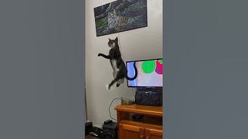 Ai Is The Future 🤣😆 #art #love #ai #asmr