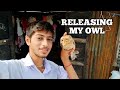 Releasing My Owl 🦉✨ | All Animals Deserve Freedom – Go Vegan 🌱