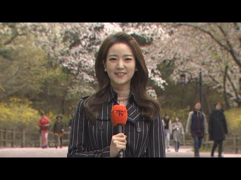 [날씨] 한낮 대체로 선선…남부 내륙 빗방울 / 연합뉴스TV (YonhapnewsTV)