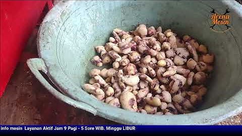 MESIN PENGUPAS JAHE KUNIR KUNYIT