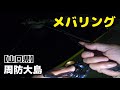 【山口釣り】周防大島の新規開拓‼️初めましのポイントでメバルが連発しました🎶　《本当はアジが釣りたい》